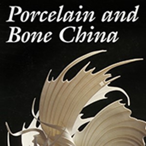 Porcelain and Bone China