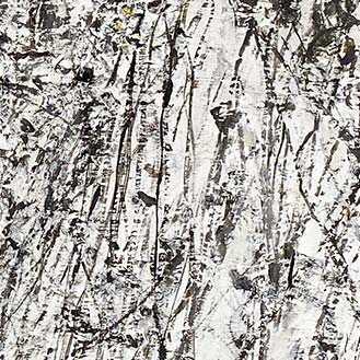 Han Klinkhamer te gast bij Henk Wolvers