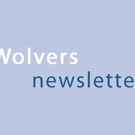 nieuwsbrief-engels